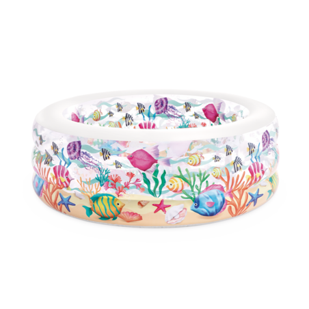 Petite piscine Aquarium INTEX