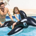Grande baleine gonflable INTEX