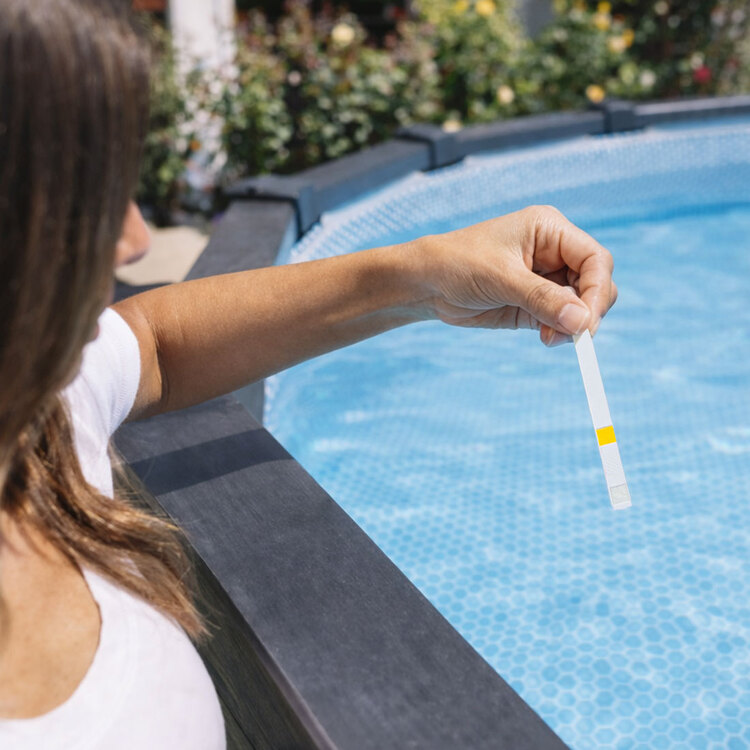 Languettes d'analyse Bayrol | pH et Chlore | Mini Pool & Spa | INTEX
