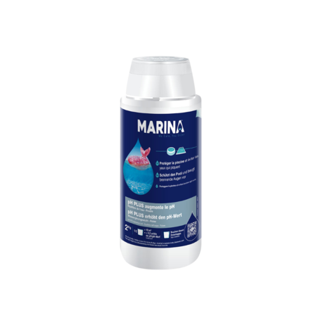 pH plus en poudre Marina | 2 kg | Entretien de l'eau | INTEX