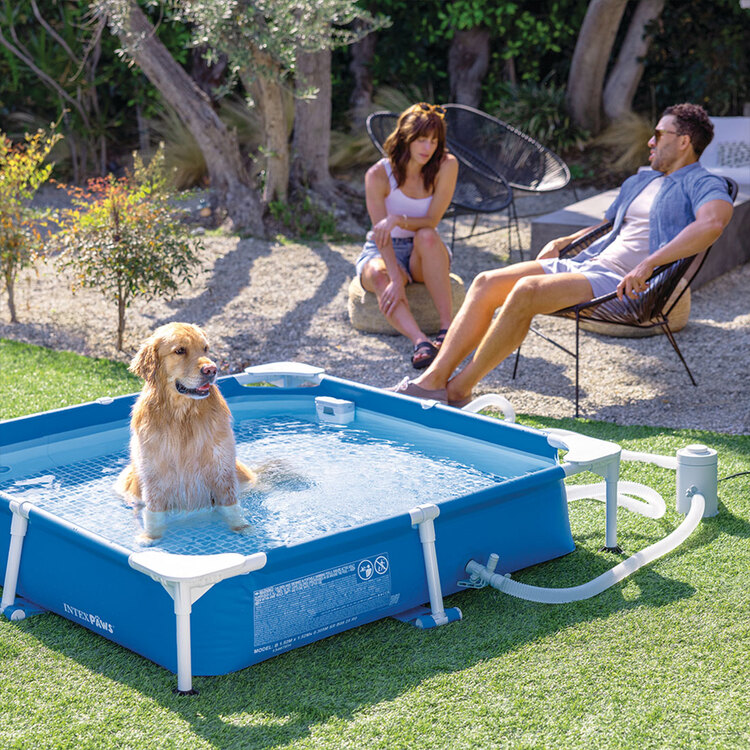  Kit piscine tubulaire pour animaux | Carrée | Bleu | INTEX