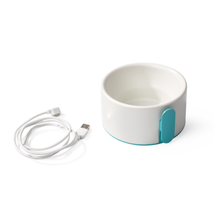 Analyseur d'eau | Mesure pH, ORP, température de l'eau | INTEX