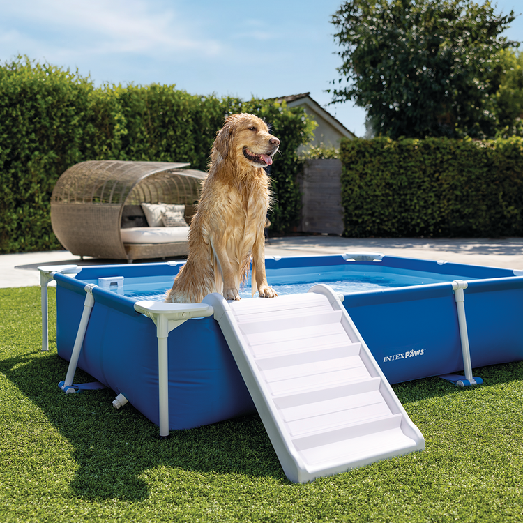  Kit piscine tubulaire pour animaux | Rectangulaire | Bleu | INTEX