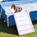 Rampe piscine | piscine pour chien | INTEX
