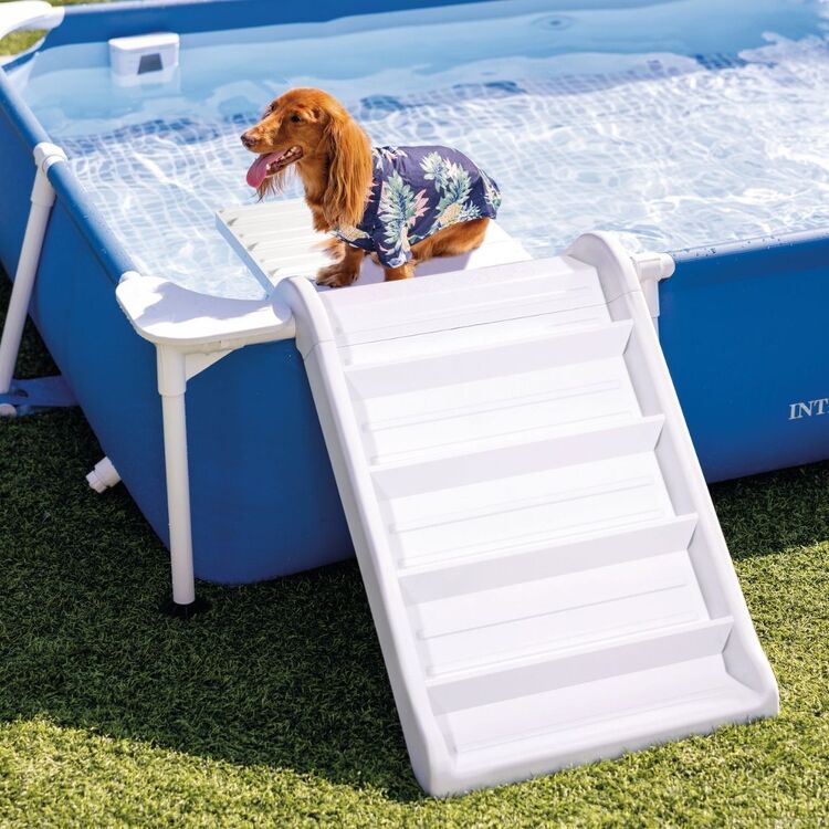 Rampe piscine | piscine pour chien | INTEX