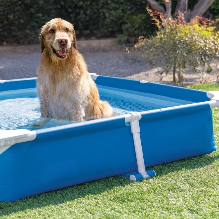 Pied vertical | pour piscine carrée pour chien | INTEX