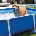 Pied vertical | pour piscine rectangulaire pour chien | INTEX