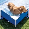 Pied d'angle | pour piscine rectangulaire pour chien | INTEX