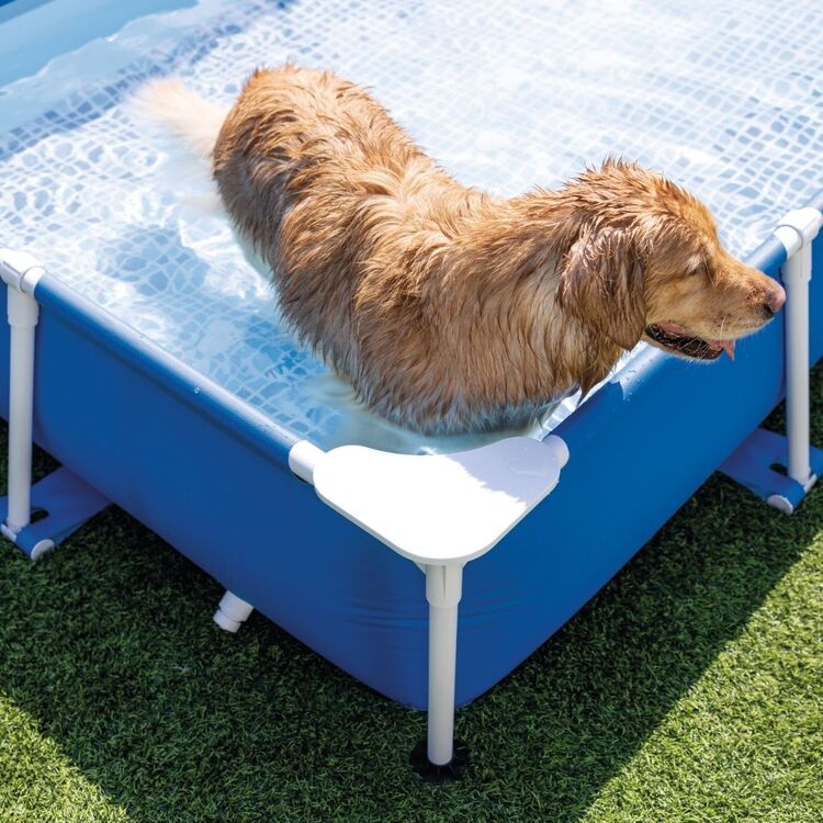 Pied d'angle | pour piscine rectangulaire pour chien | INTEX