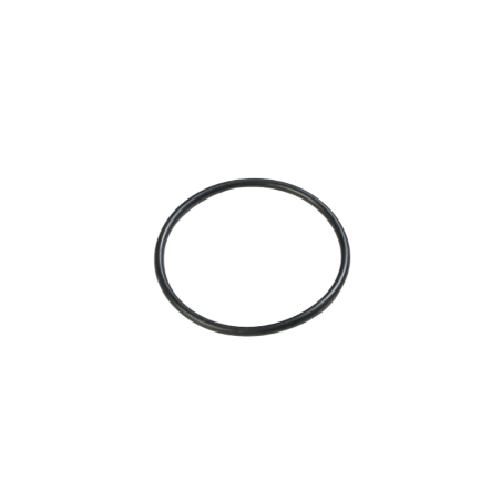 Joint torique | pour tuyaux 38 mm | INTEX