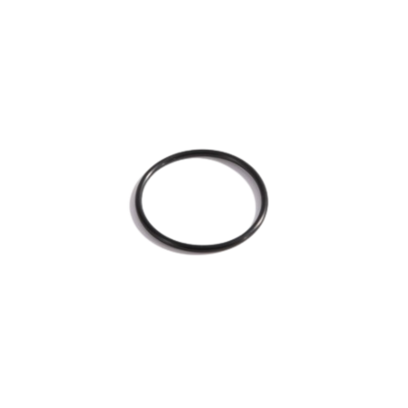 Joint de cellule électrolytique pour stérilisateur QS200 INTEX