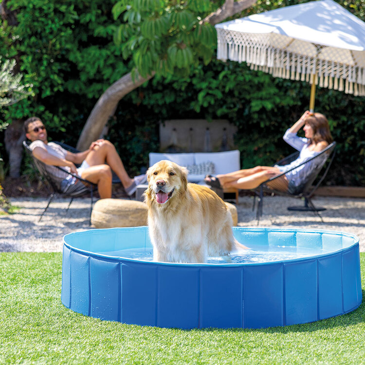  Piscine pliable pour animaux | Ronde | Pour chiens | INTEX
