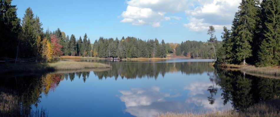 Les vacances d'automne avec les produits Intex 🍂